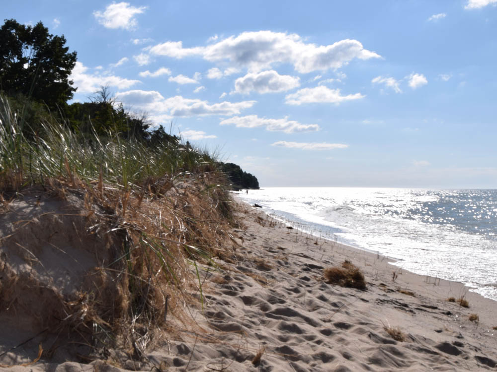 Magoon Creek - Manistee County Tourism - Manistee, Michigan